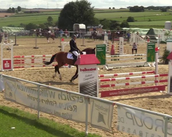 Reitturnier Brilon 2017