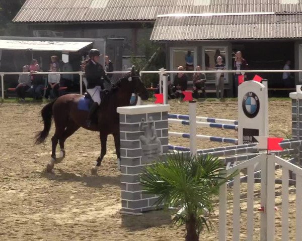 Reitturnier Brilon 2017