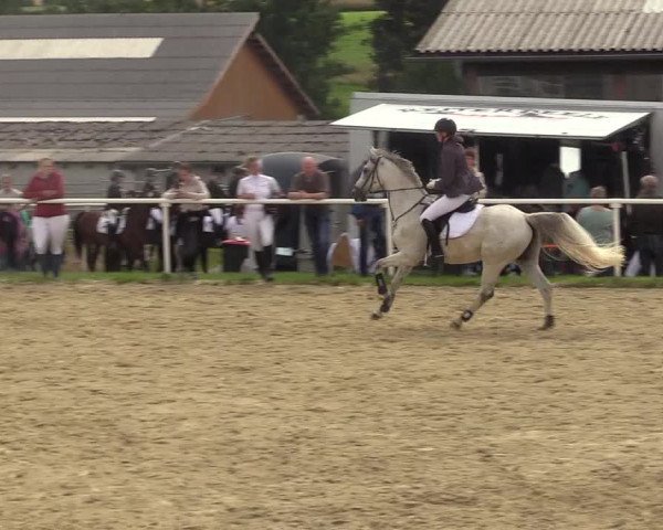 Reitturnier Brilon 2017