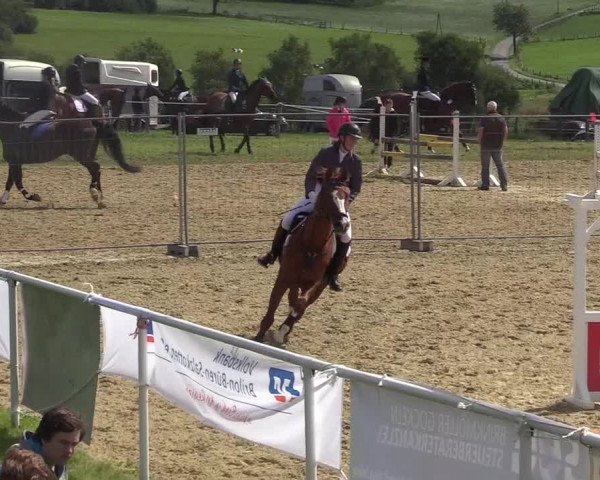 Reitturnier Brilon 2017