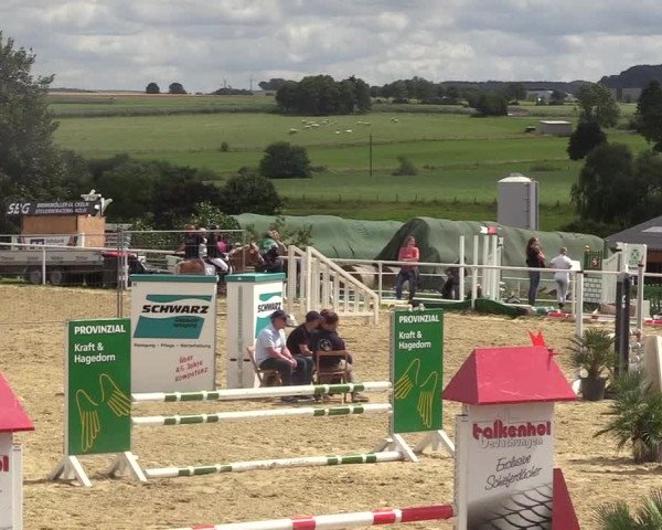 Reitturnier Brilon 2017