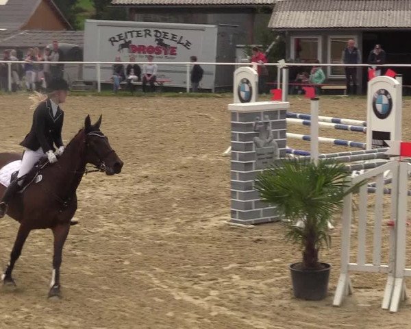 Reitturnier Brilon 2017