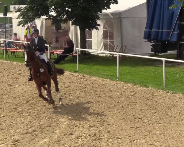 Reitturnier Brilon 2017