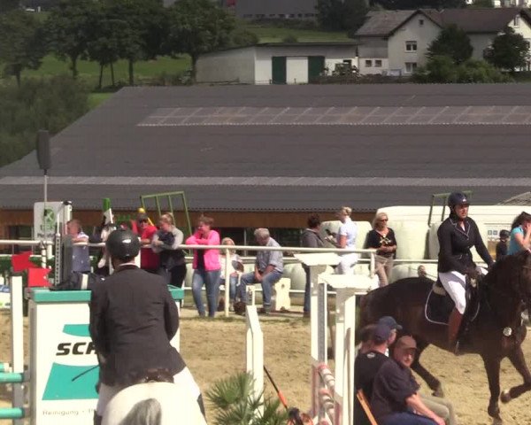 Reitturnier Brilon 2017