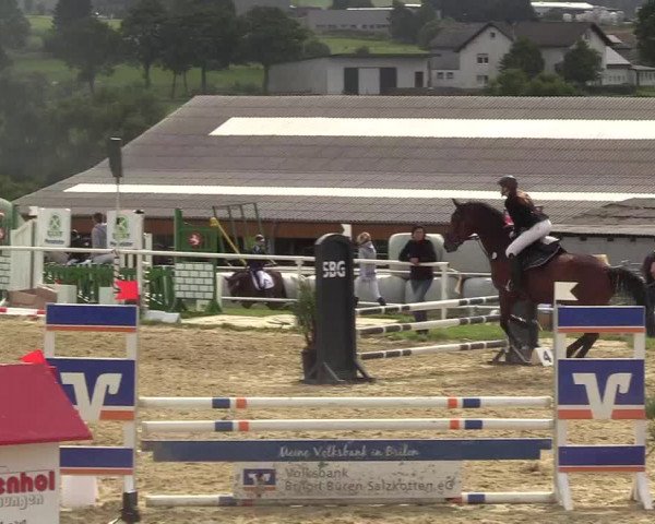 Reitturnier Brilon 2017