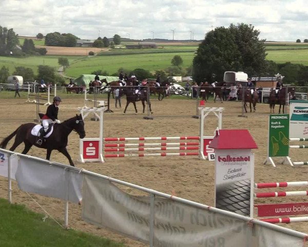 Reitturnier Brilon 2017