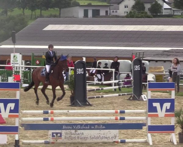Reitturnier Brilon 2017