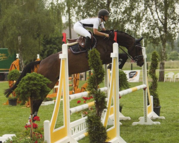 jumper Perigueux's Pretty Pearl K (Hanoverian, 2013, from Perigueux)