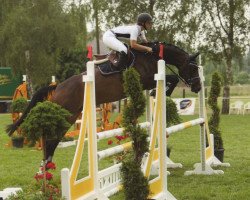 jumper Perigueux's Pretty Pearl K (Hanoverian, 2013, from Perigueux)