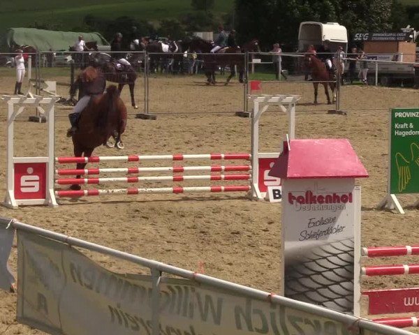 Reitturnier Brilon 2017