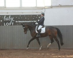 dressage horse Nea's Sunshine (Oldenburg, 2009, from Licotus)