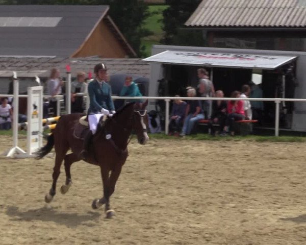 Reitturnier Brilon 2017