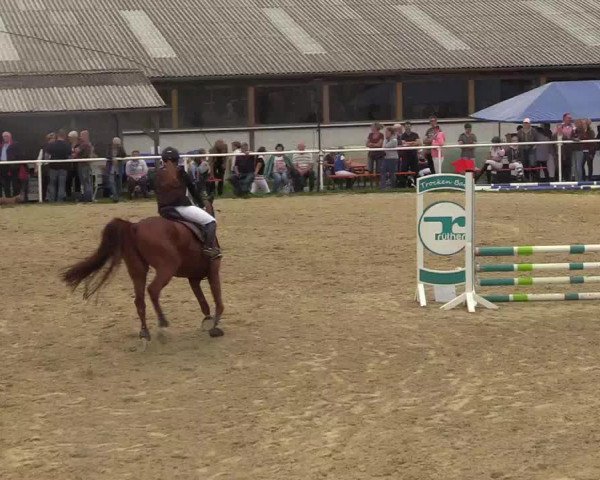 Reitturnier Brilon 2017