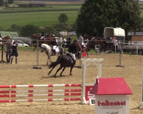 Reitturnier Brilon 2017