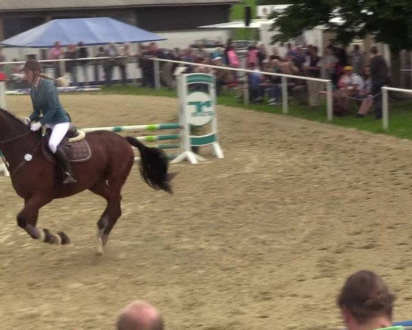 Reitturnier Brilon 2017