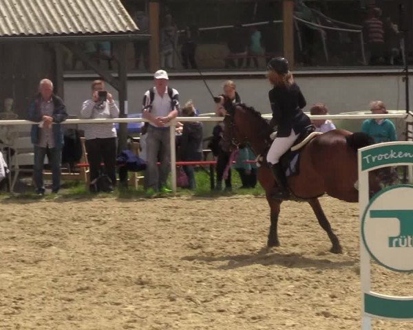 Reitturnier Brilon 2017
