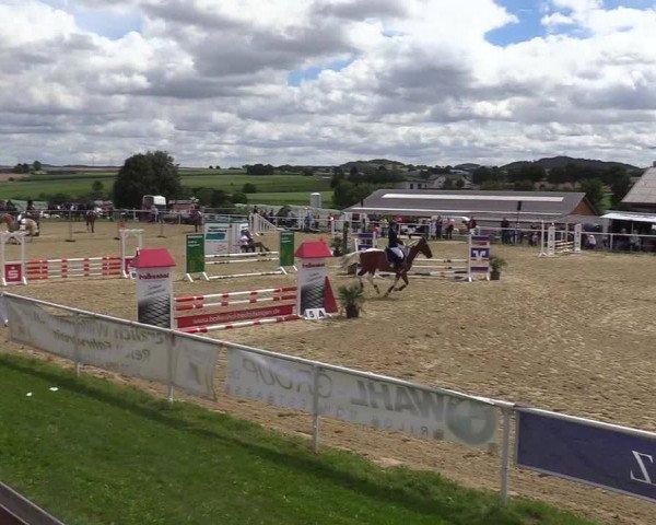 Reitturnier Brilon 2017