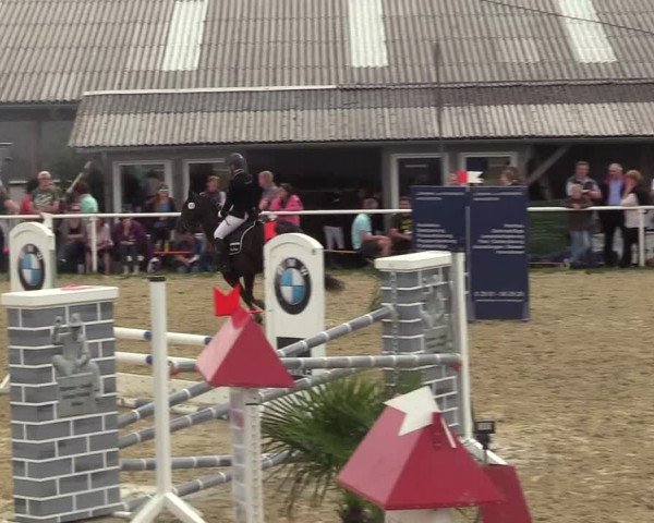 Reitturnier Brilon 2017