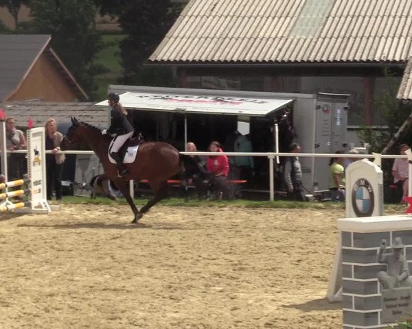 Reitturnier Brilon 2017