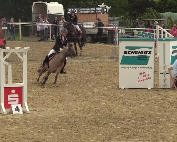 Reitturnier Brilon 2017