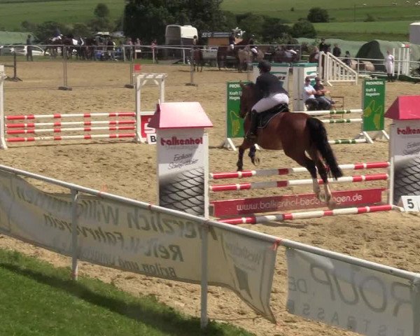 Reitturnier Brilon 2017