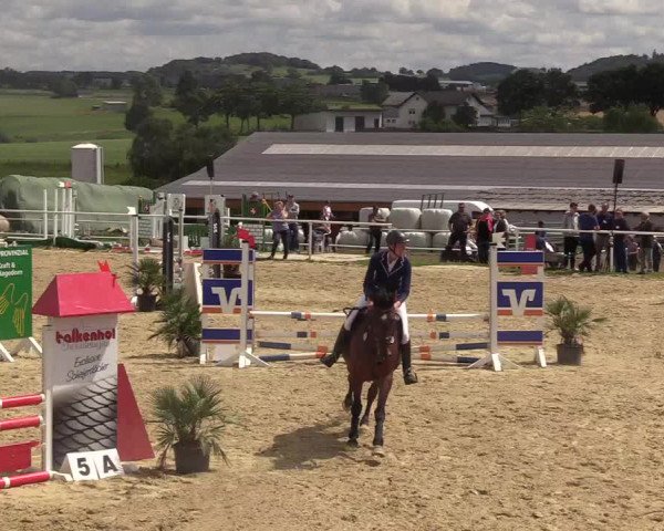 Reitturnier Brilon 2017