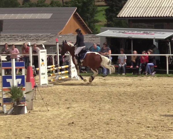 Reitturnier Brilon 2017