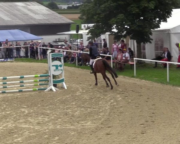 Reitturnier Brilon 2017