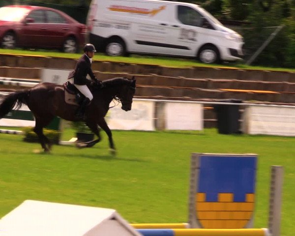 Reitturnier Baschütz bei Bautzen 2017
