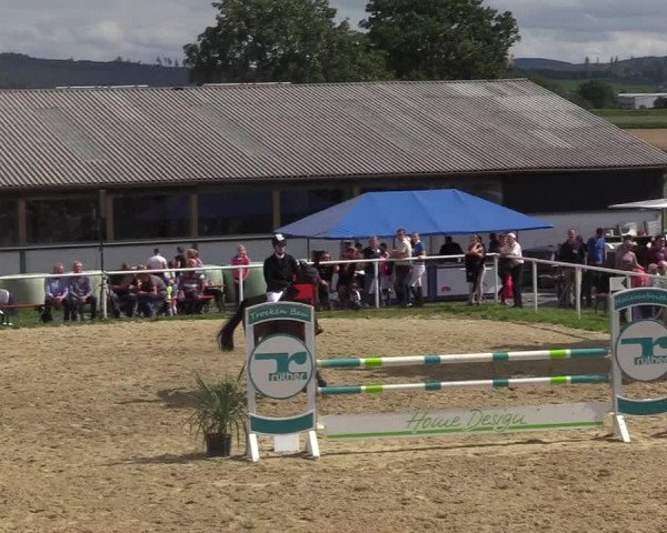 Reitturnier Brilon 2017
