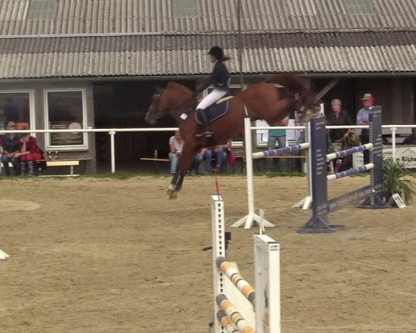 Reitturnier Brilon 2017