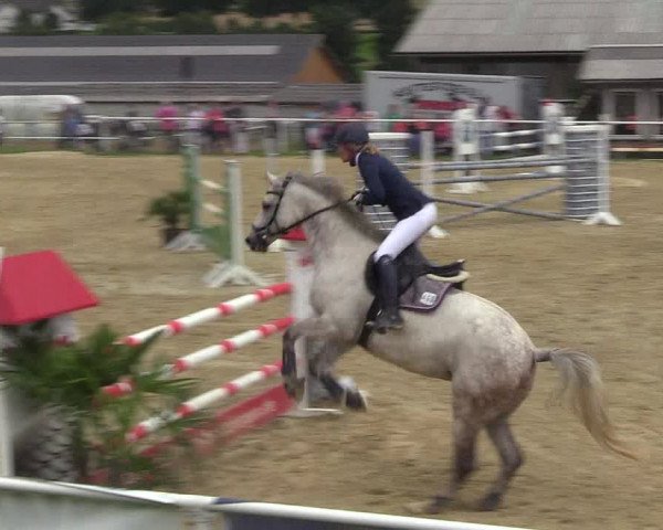 Reitturnier Brilon 2017