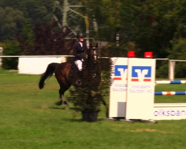 Reitturnier Baschütz bei Bautzen 2017