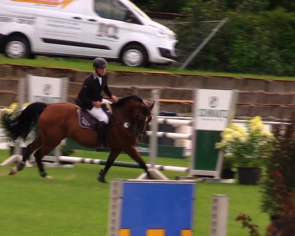 Reitturnier Baschütz bei Bautzen 2017