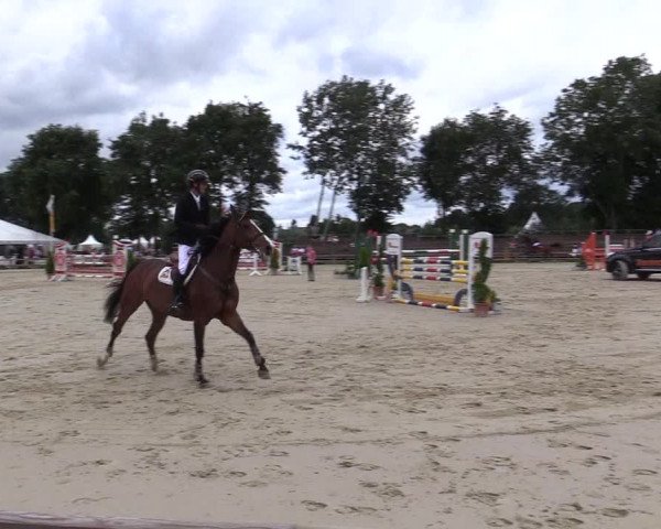 Reitturnier Münster-Handorf 2017