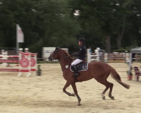 Reitturnier Münster-Handorf 2017