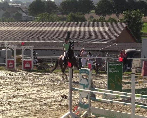 Reitturnier Brilon 2017