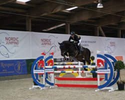 Springpferd Centolino Clasico (Holsteiner, 2013, von Centurion)