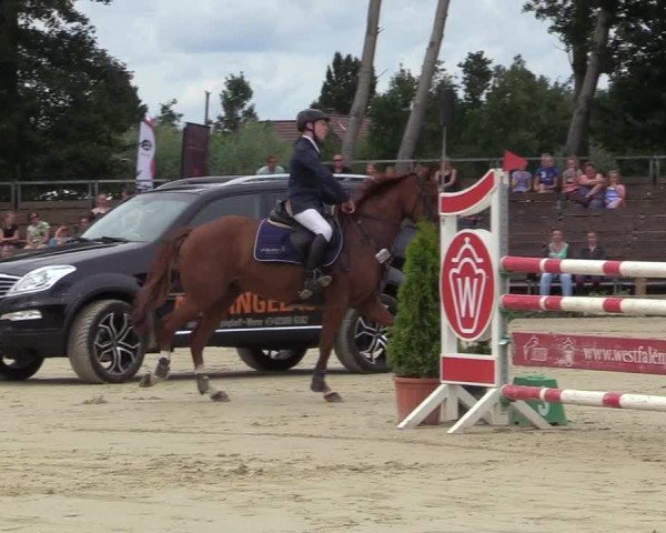 Reitturnier Münster-Handorf 2017