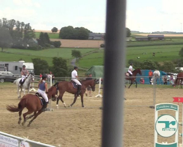 Reitturnier Brilon 2017