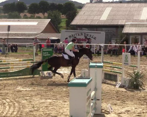 Reitturnier Brilon 2017
