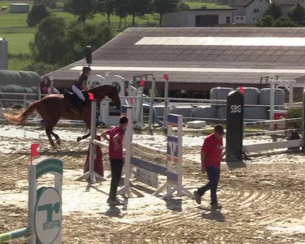 Reitturnier Brilon 2017