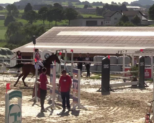 Reitturnier Brilon 2017