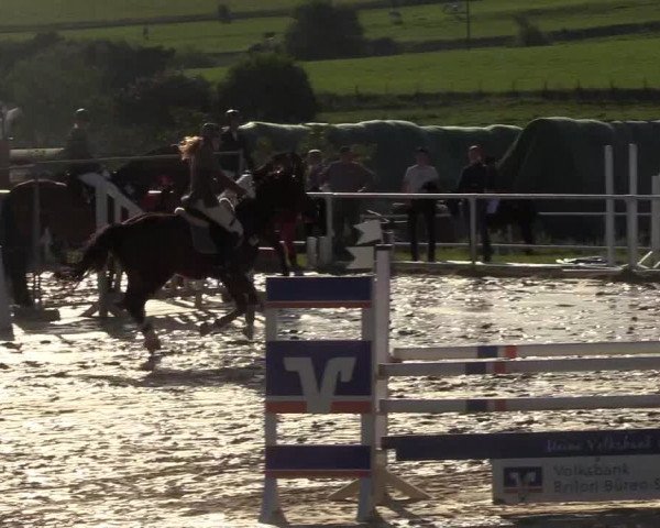 Reitturnier Brilon 2017