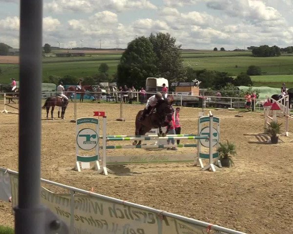 Reitturnier Brilon 2017