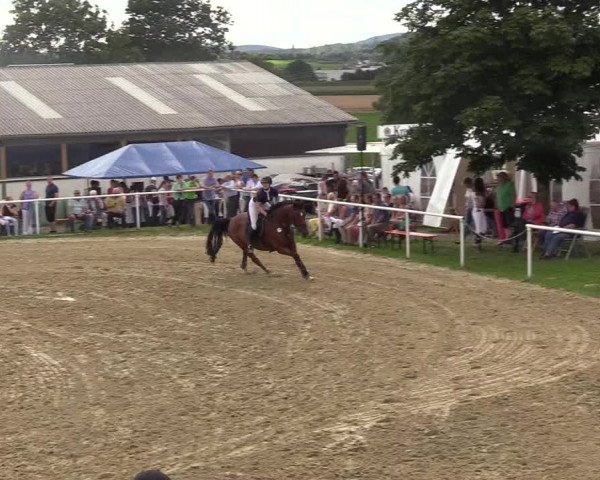 Reitturnier Brilon 2017