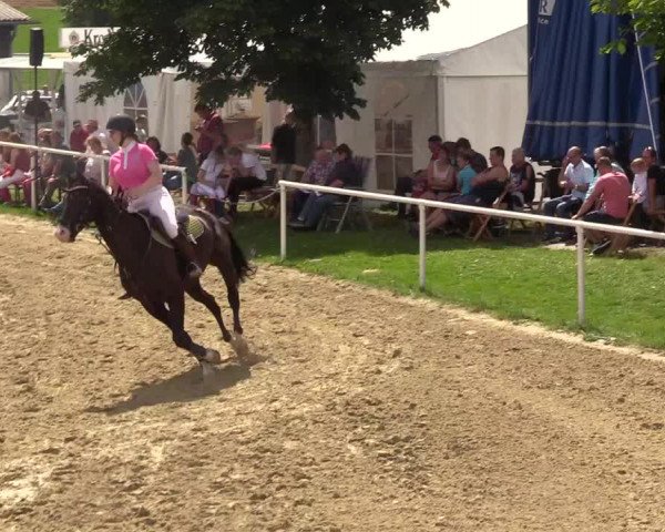 Reitturnier Brilon 2017