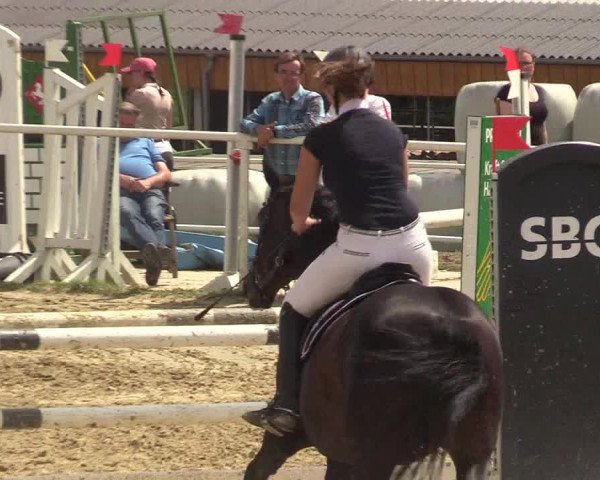 Reitturnier Brilon 2017