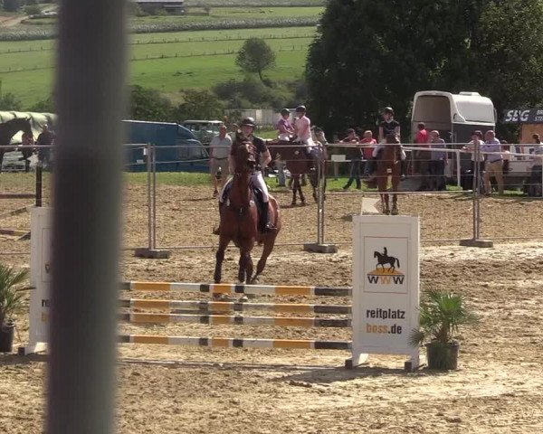 Reitturnier Brilon 2017