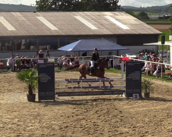 Reitturnier Brilon 2017